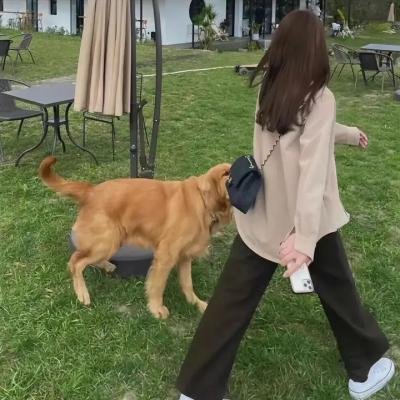彩色房间